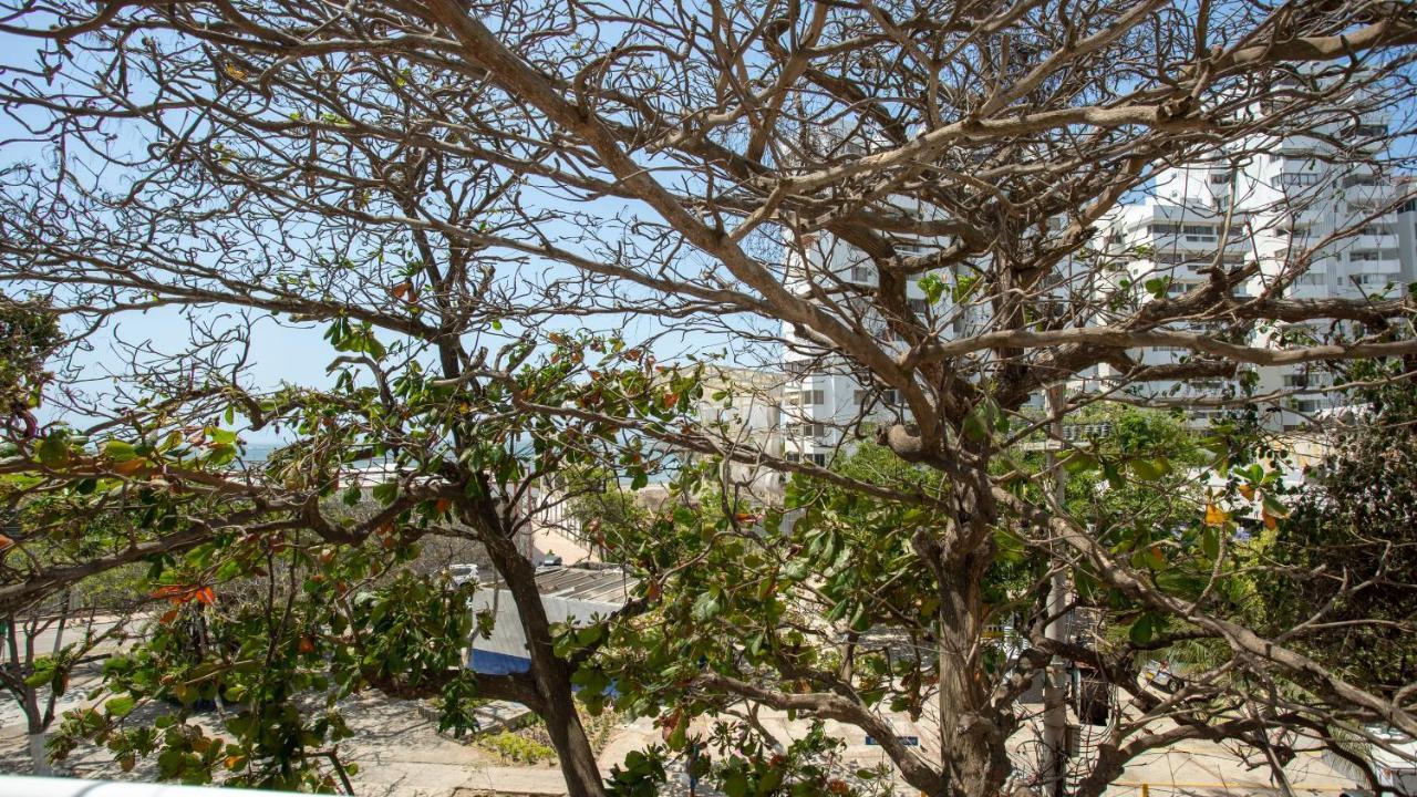 Hollywood Beach Suite Cartagena エクステリア 写真
